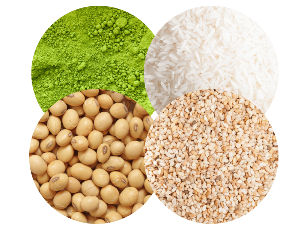 Asian journey toimeained