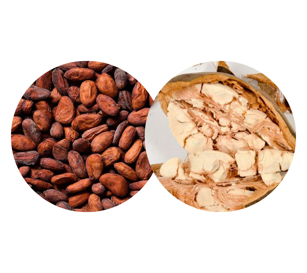 toimeained african safari