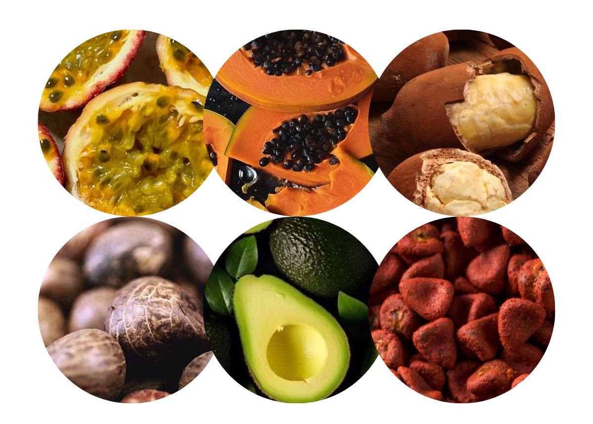 amazonian toimeained